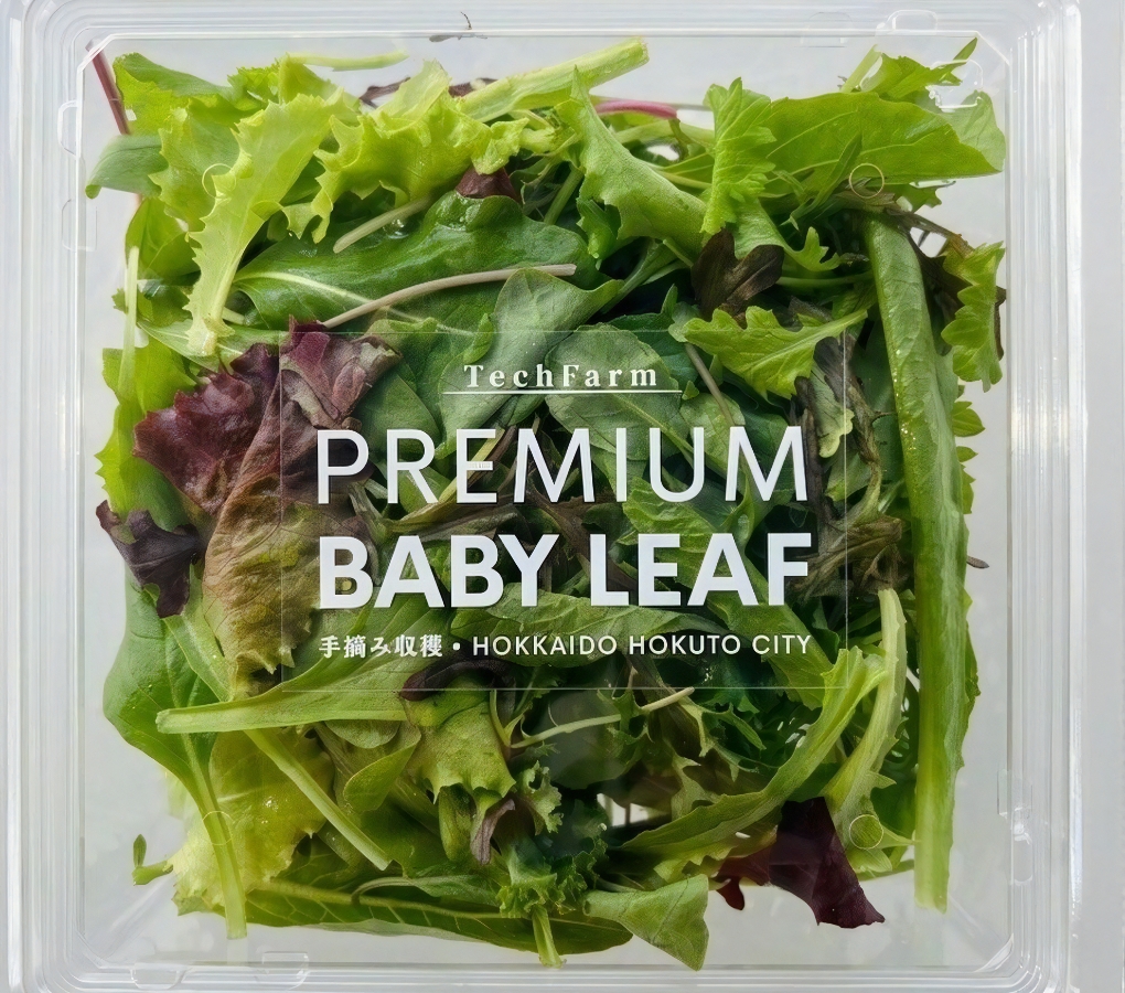 TechFarm PREMIUM BABY LEAF