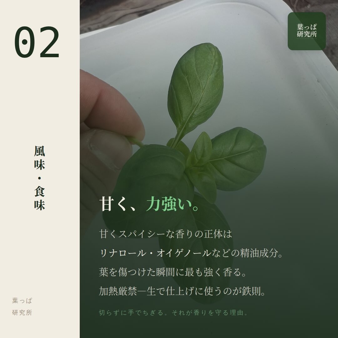 https://techfarm-hokuto.com