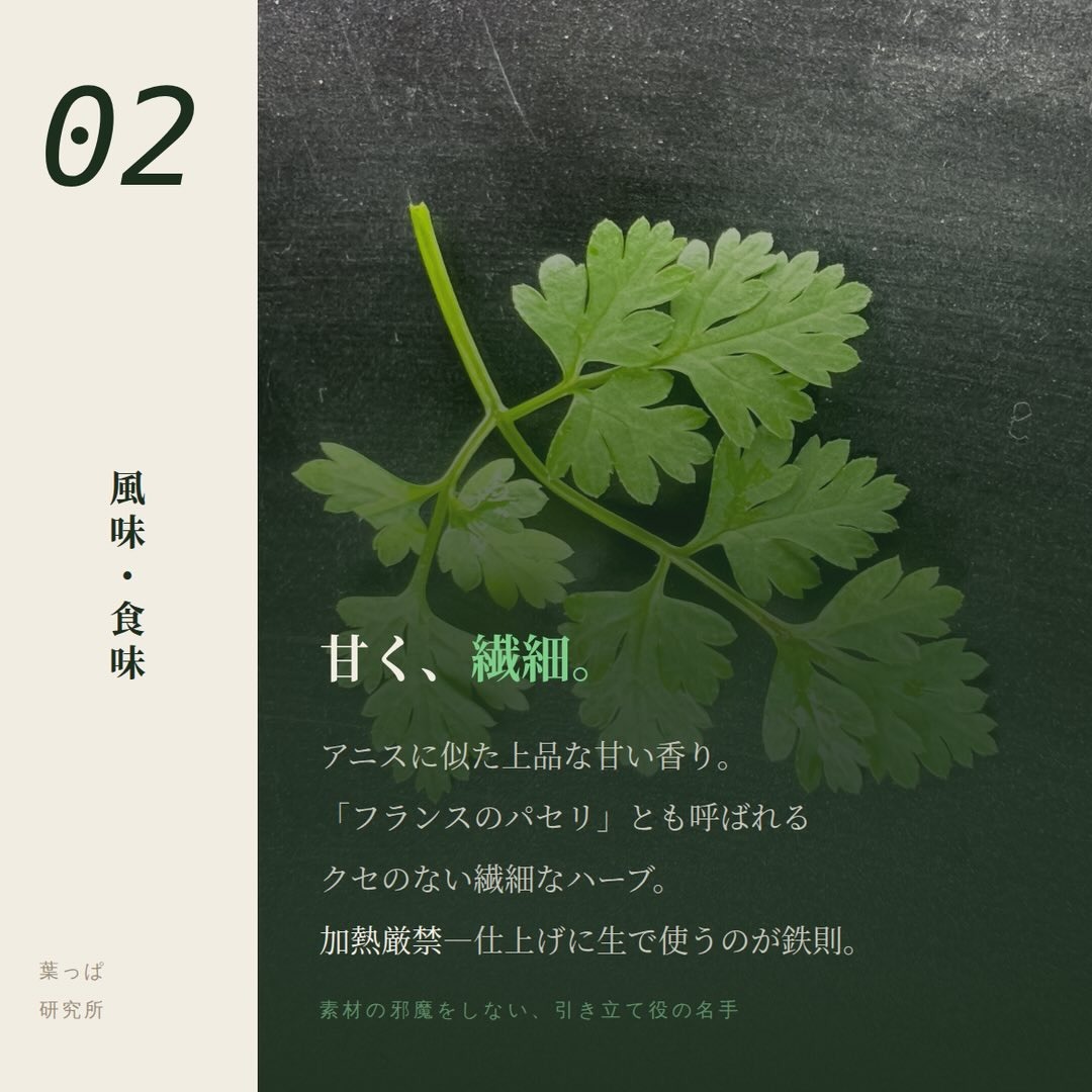https://techfarm-hokuto.com