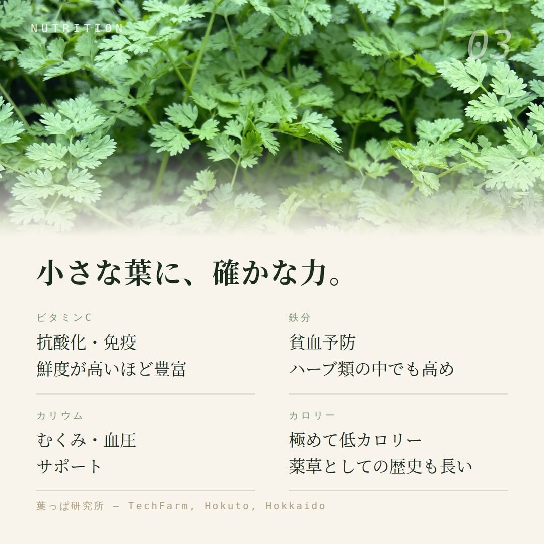 https://techfarm-hokuto.com