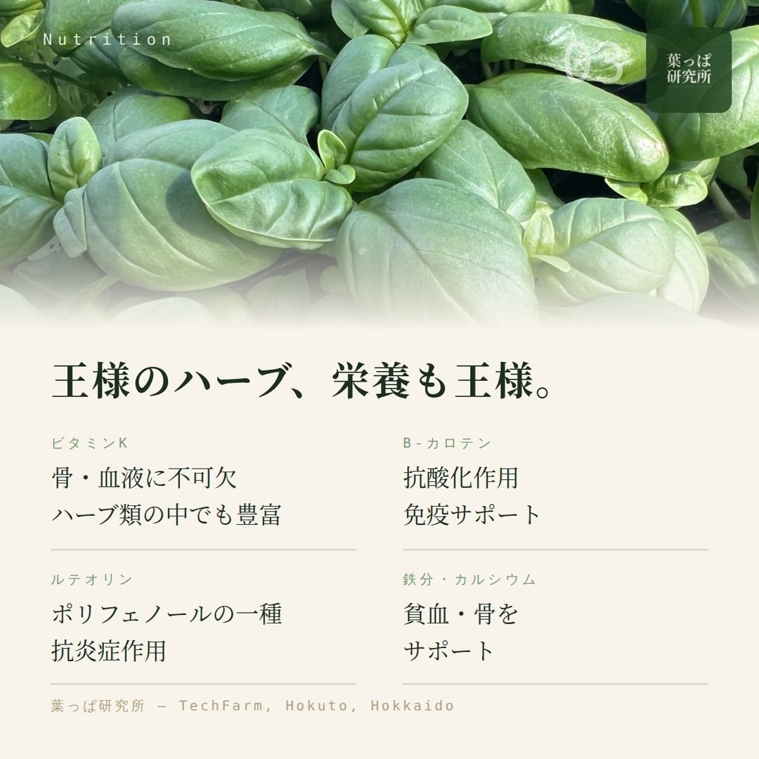 https://techfarm-hokuto.com