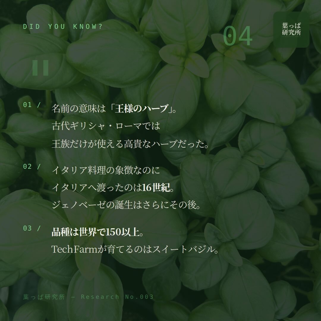 https://techfarm-hokuto.com