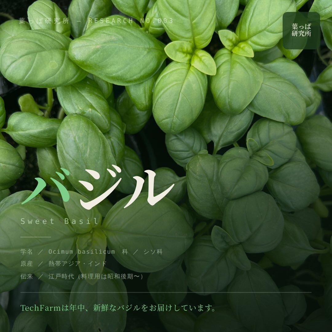 https://techfarm-hokuto.com