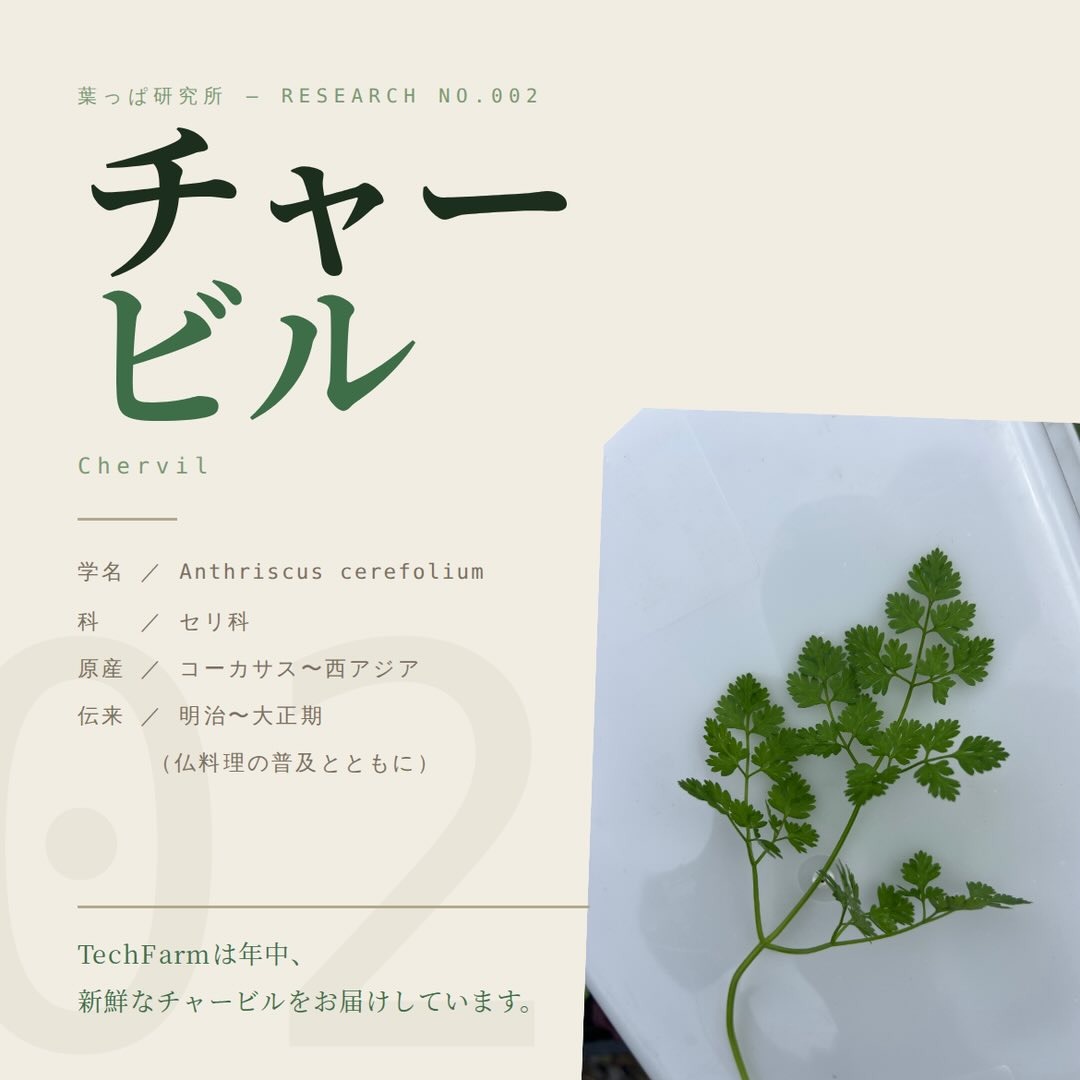 https://techfarm-hokuto.com