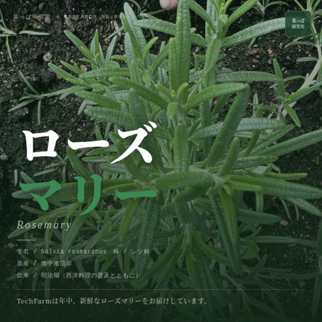 https://techfarm-hokuto.com