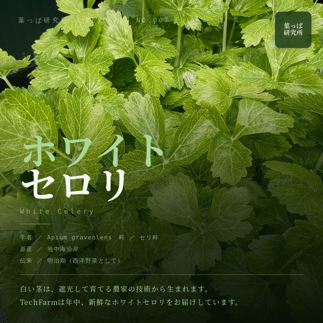 https://techfarm-hokuto.com