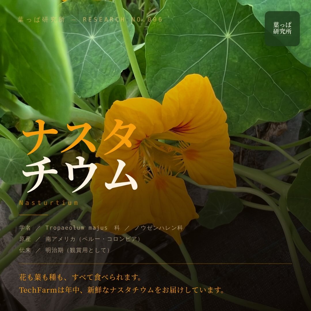 https://techfarm-hokuto.com