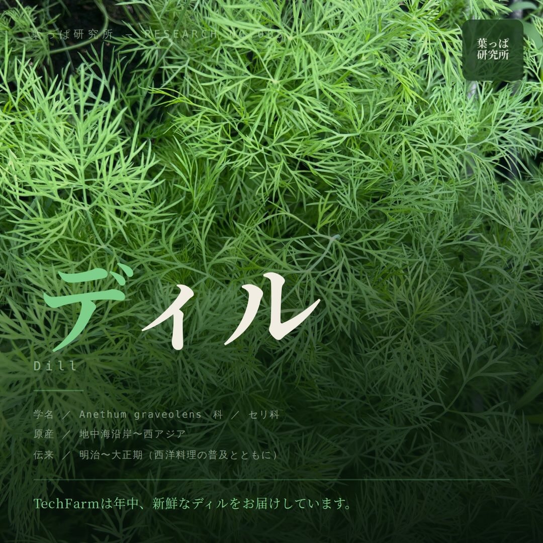 https://techfarm-hokuto.com