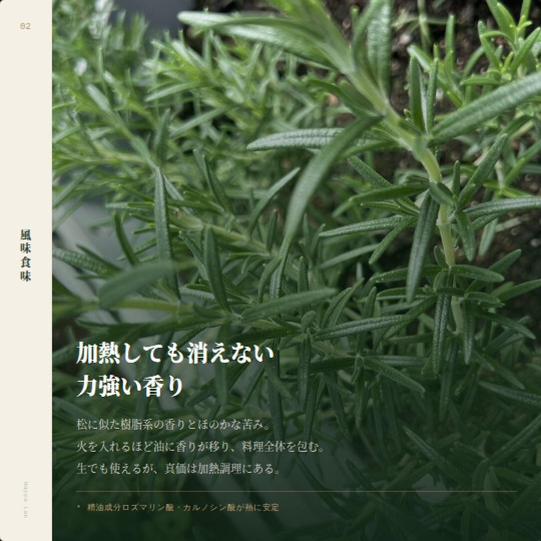 https://techfarm-hokuto.com