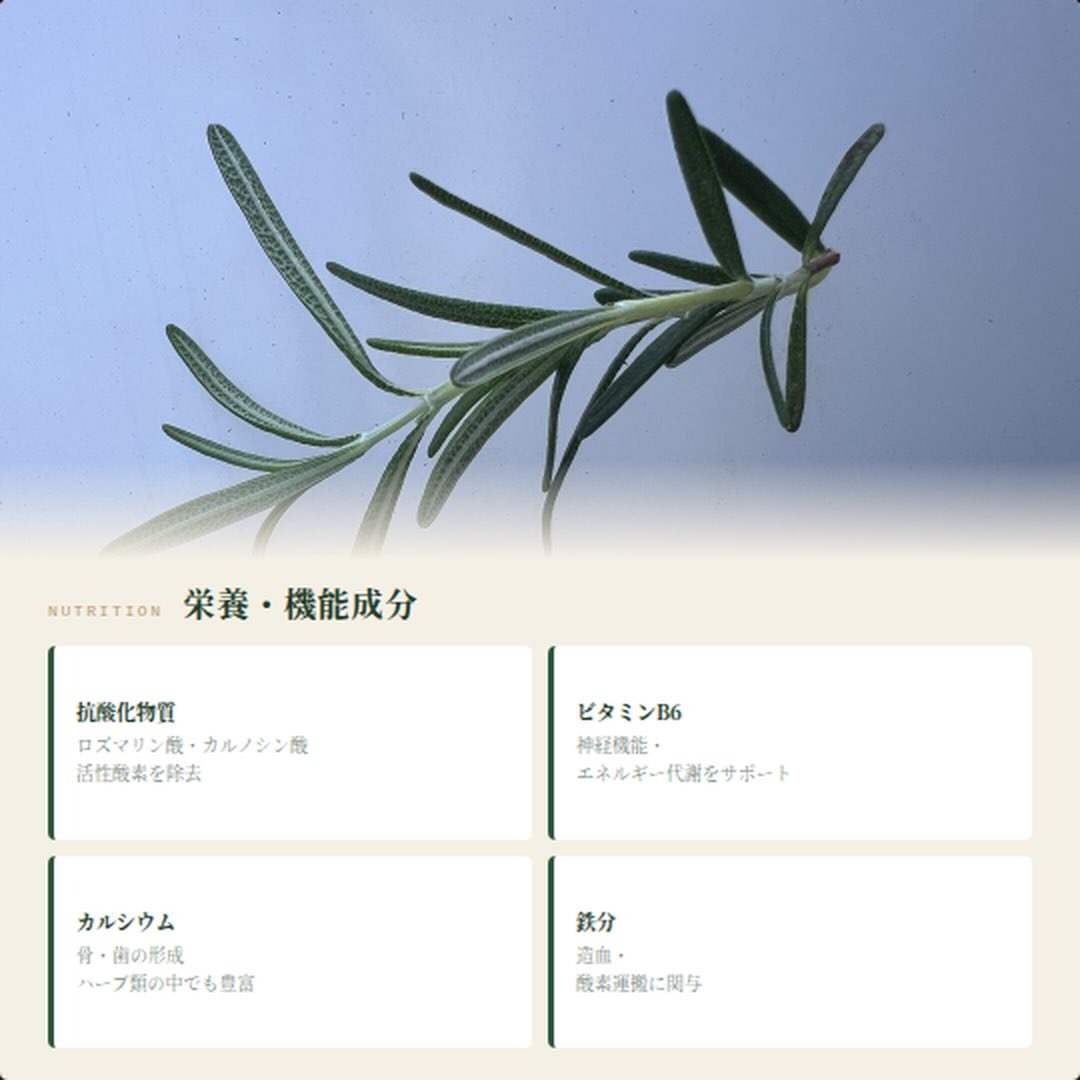 https://techfarm-hokuto.com