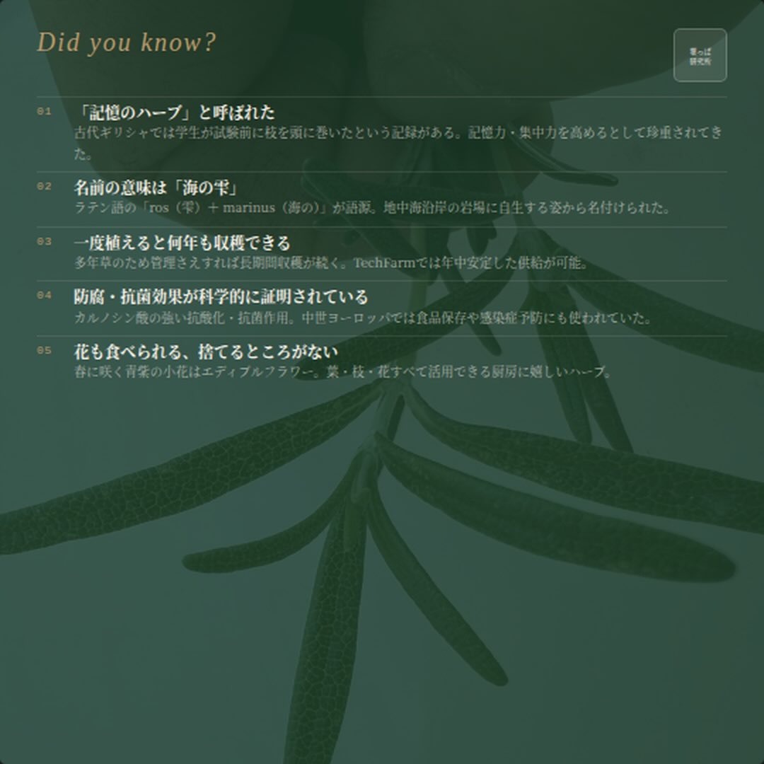 https://techfarm-hokuto.com