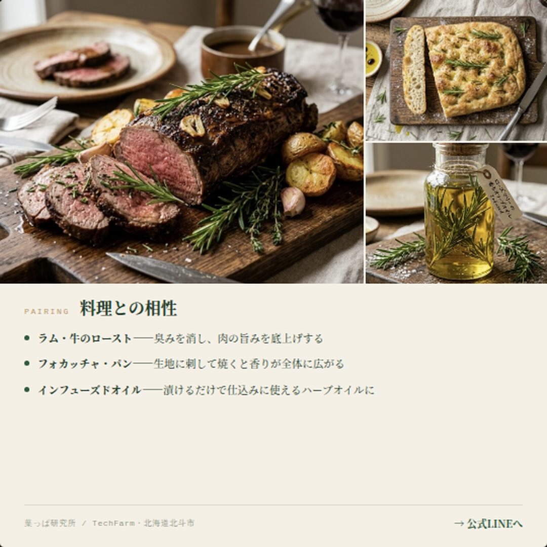 https://techfarm-hokuto.com