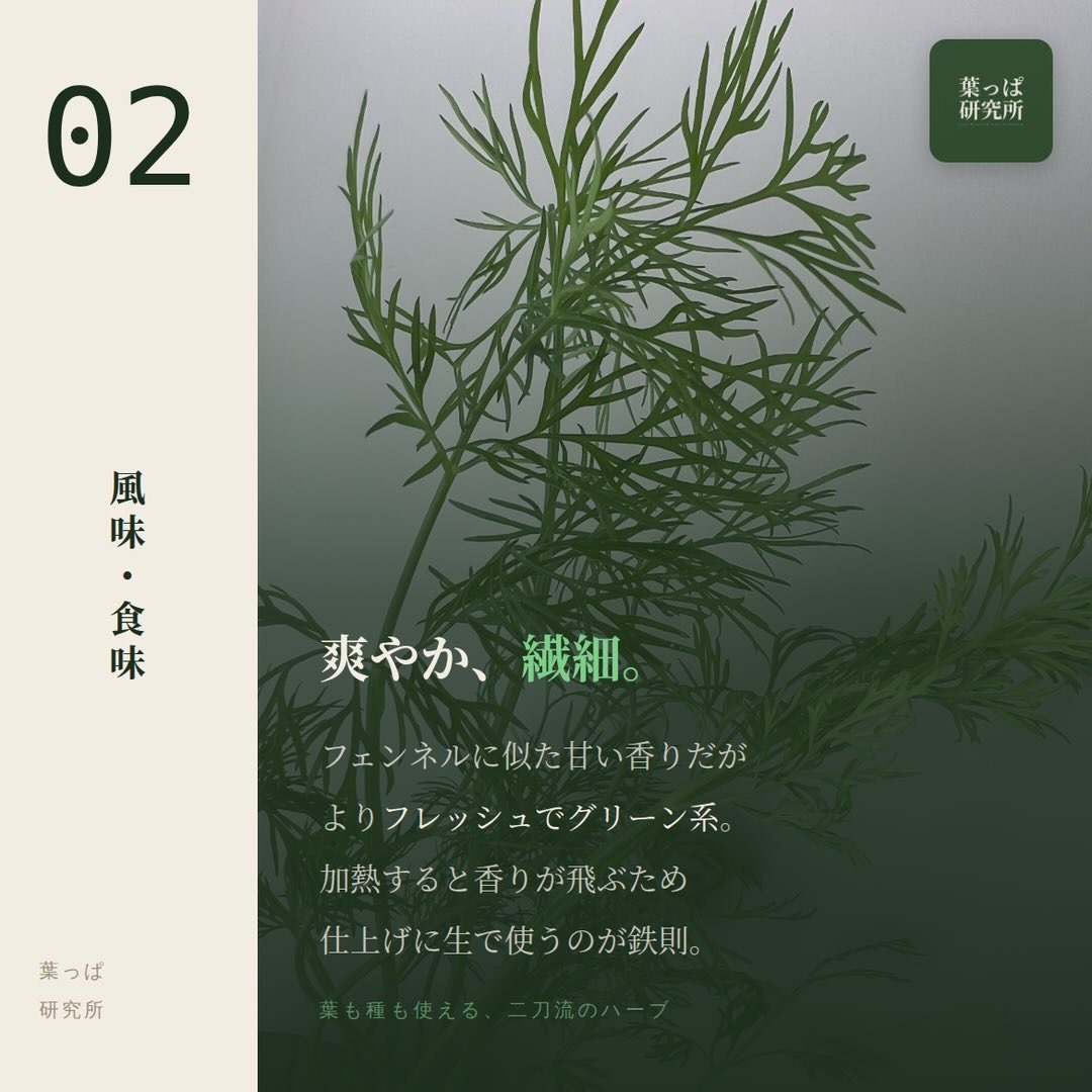 https://techfarm-hokuto.com