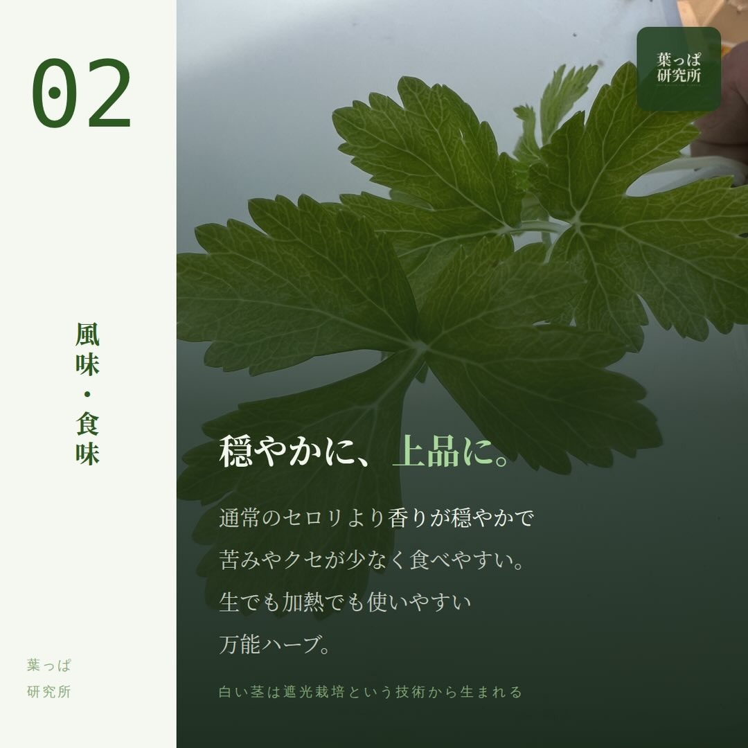 https://techfarm-hokuto.com