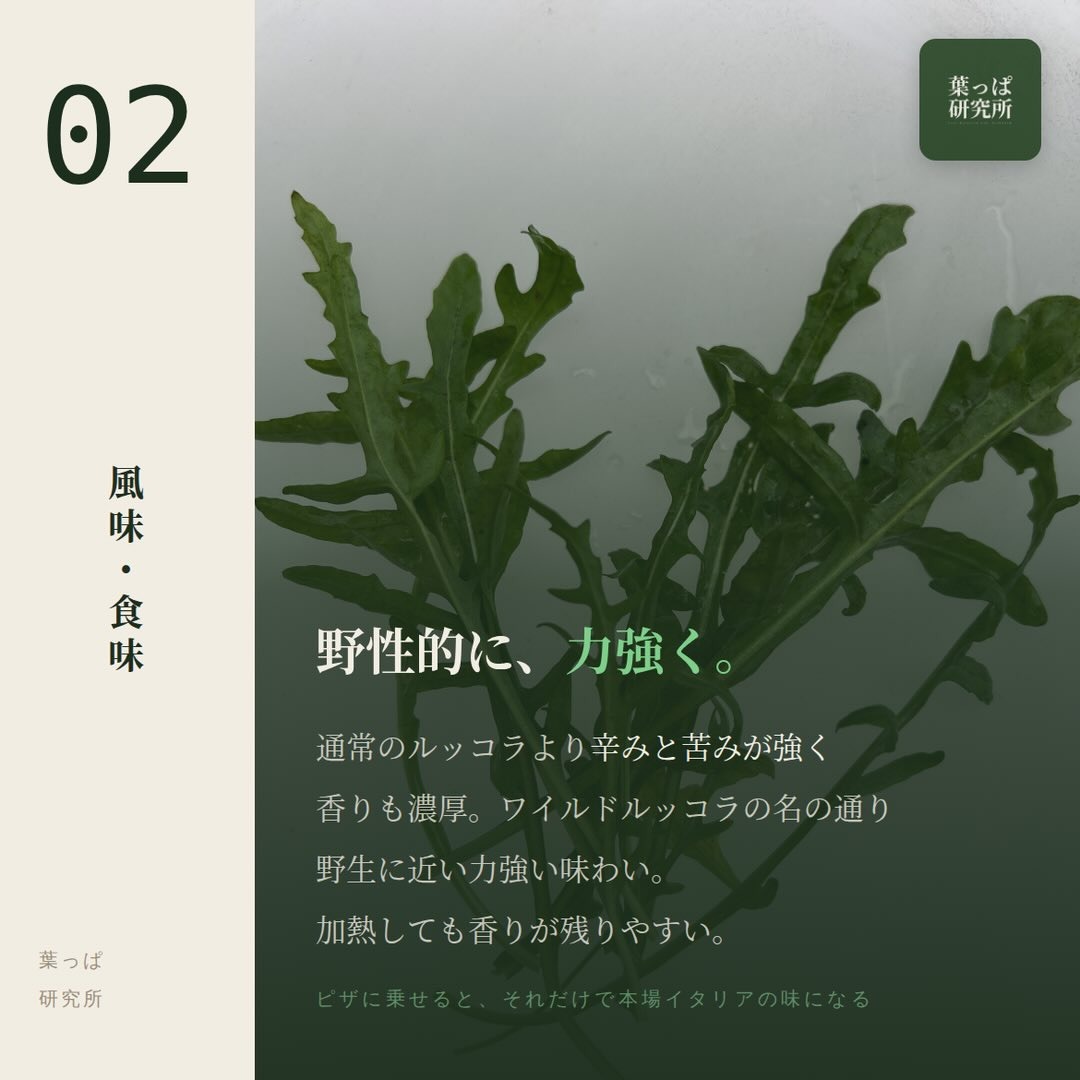 https://techfarm-hokuto.com
