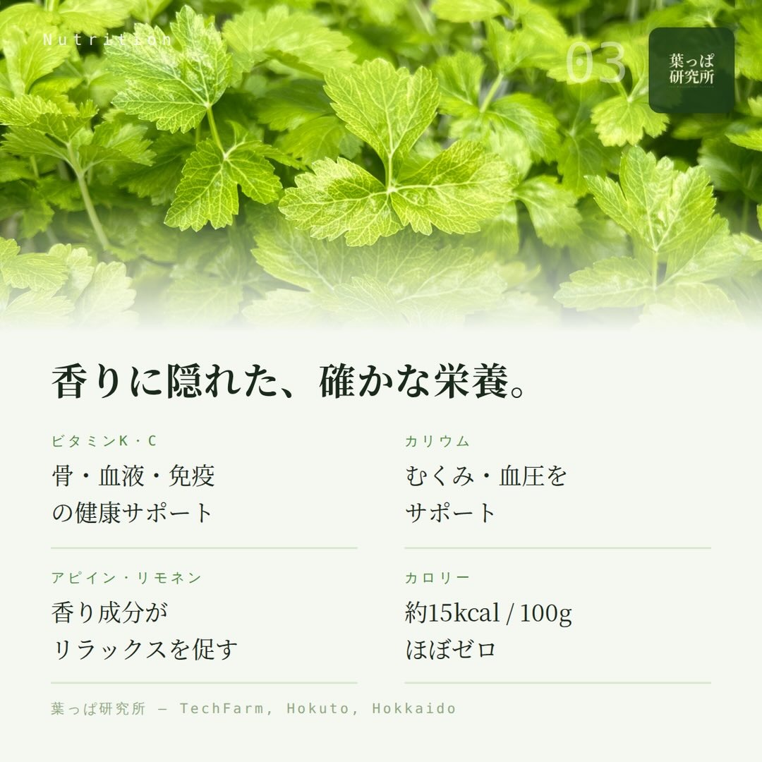 https://techfarm-hokuto.com