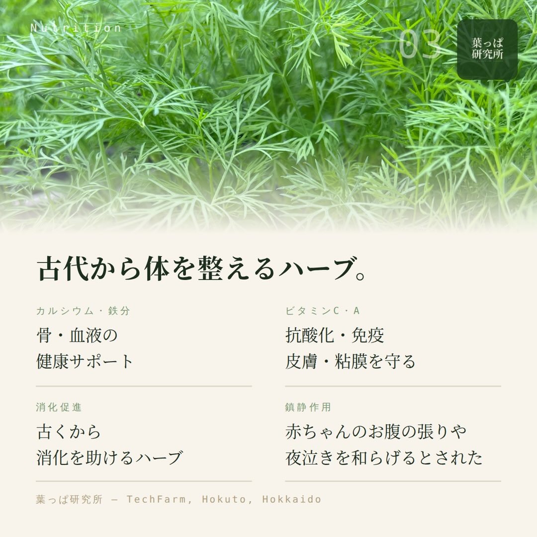 https://techfarm-hokuto.com
