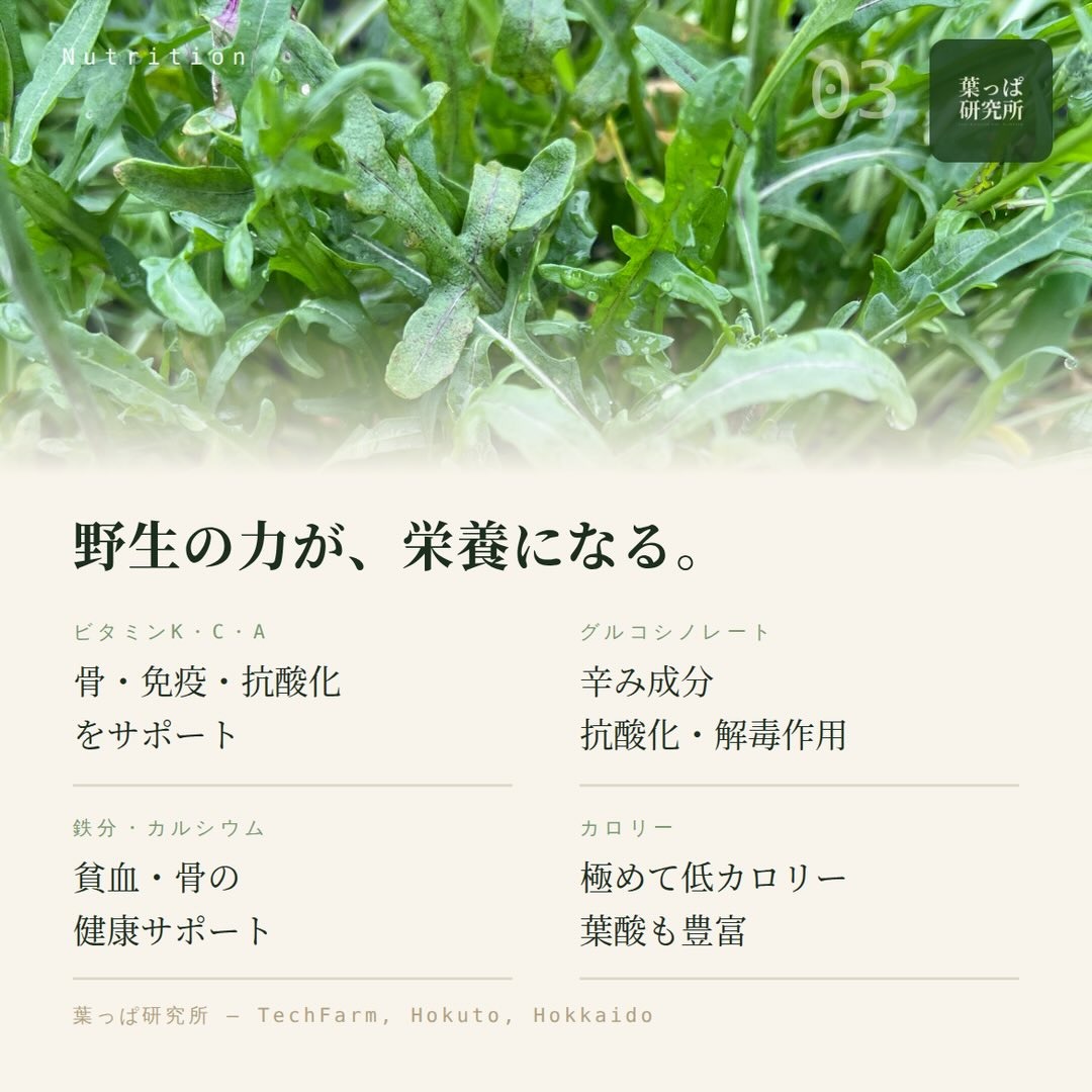 https://techfarm-hokuto.com