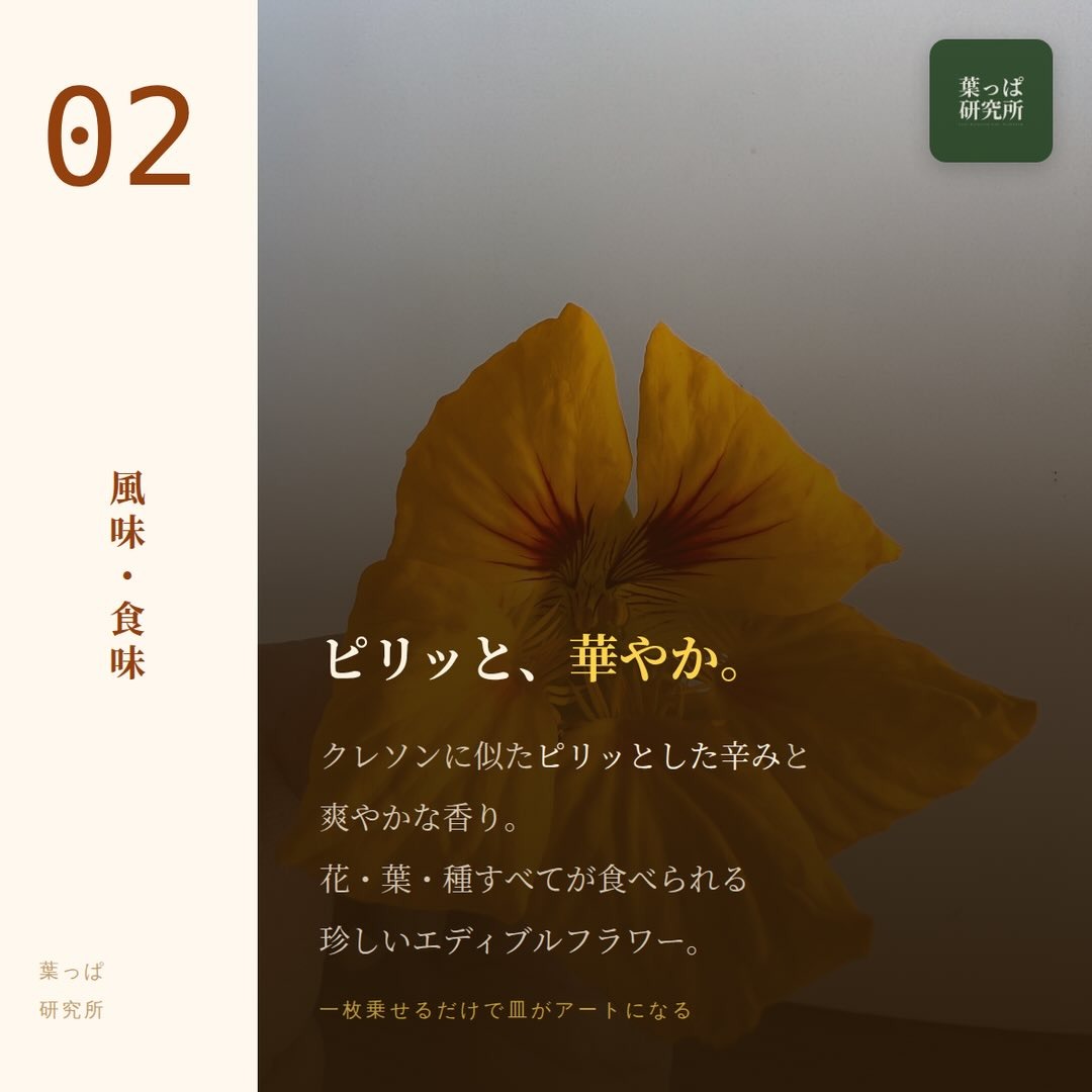 https://techfarm-hokuto.com