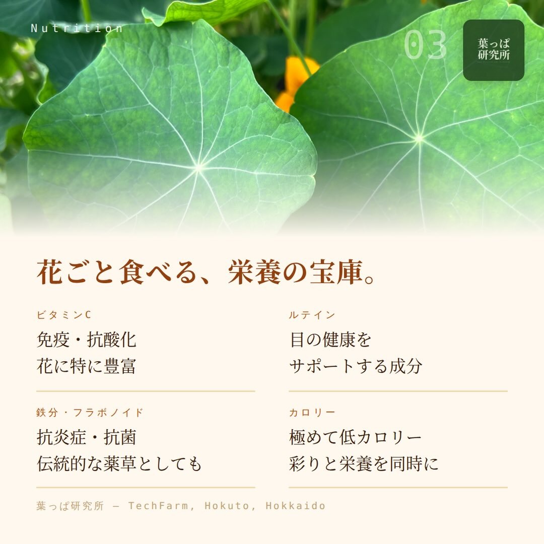 https://techfarm-hokuto.com