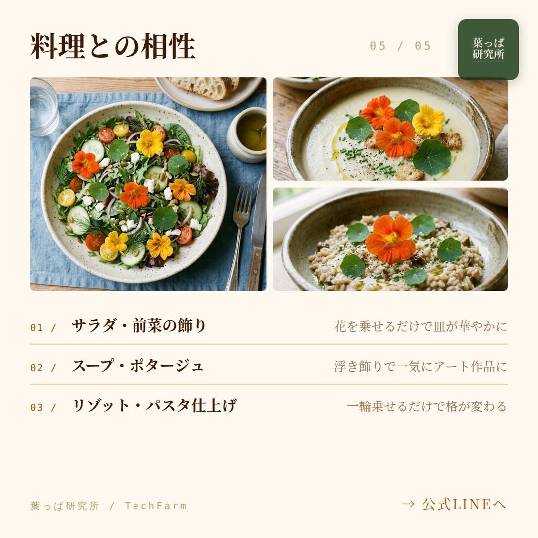 https://techfarm-hokuto.com